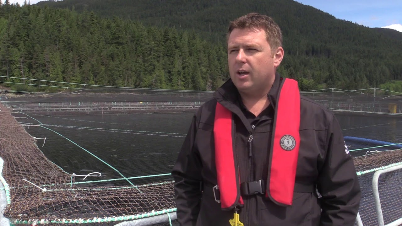 Inside a B.C. salmon farm and processing plant