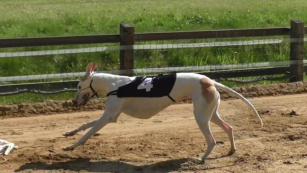 Training beim NWR in Zeitlupe April 2024
