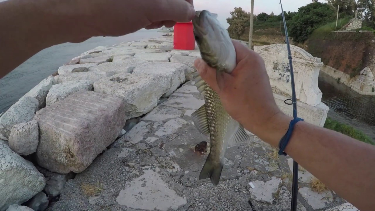 SPINNING nella provincia di Venezia (e molto altro)
