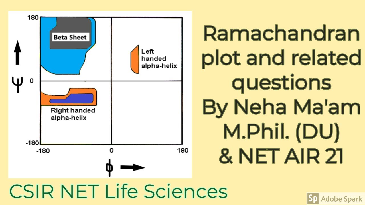 Ramachandran plot and related questions  #CSIRNETLifeSciences #Nehamaam