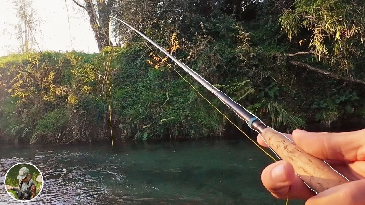Euro Nymphing a Spring Creek for Big Rainbow Trout!