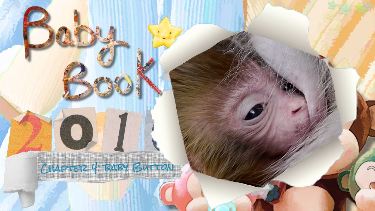 Baby book 2016 Chapter 4 - The fluffiest and cutest one