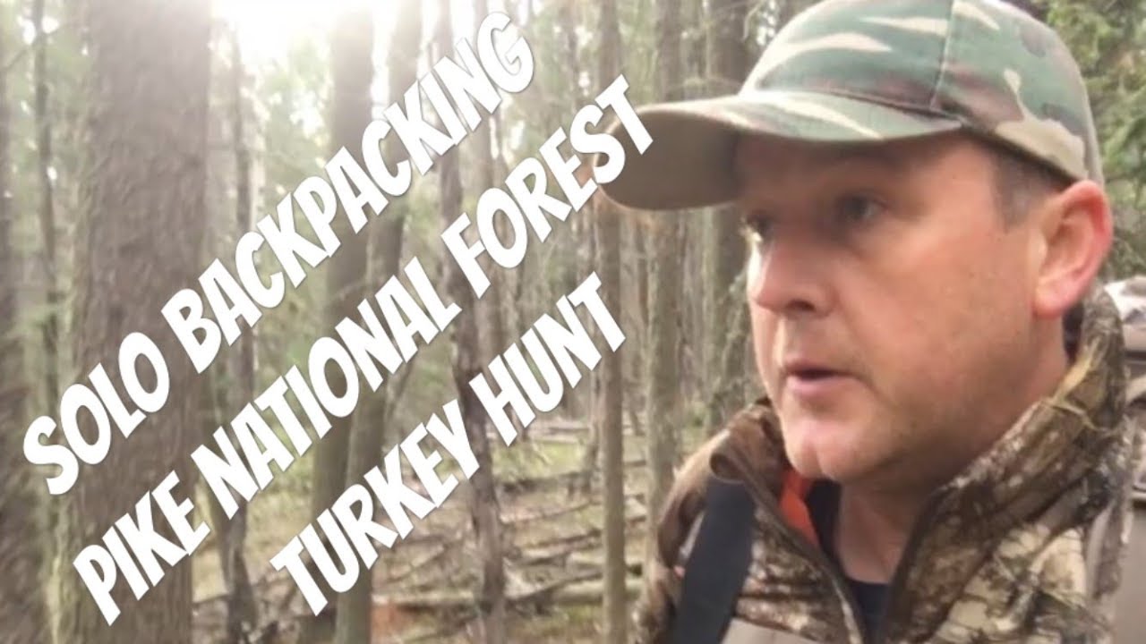 Solo Backpacking Pike National Forest Turkey Hunt