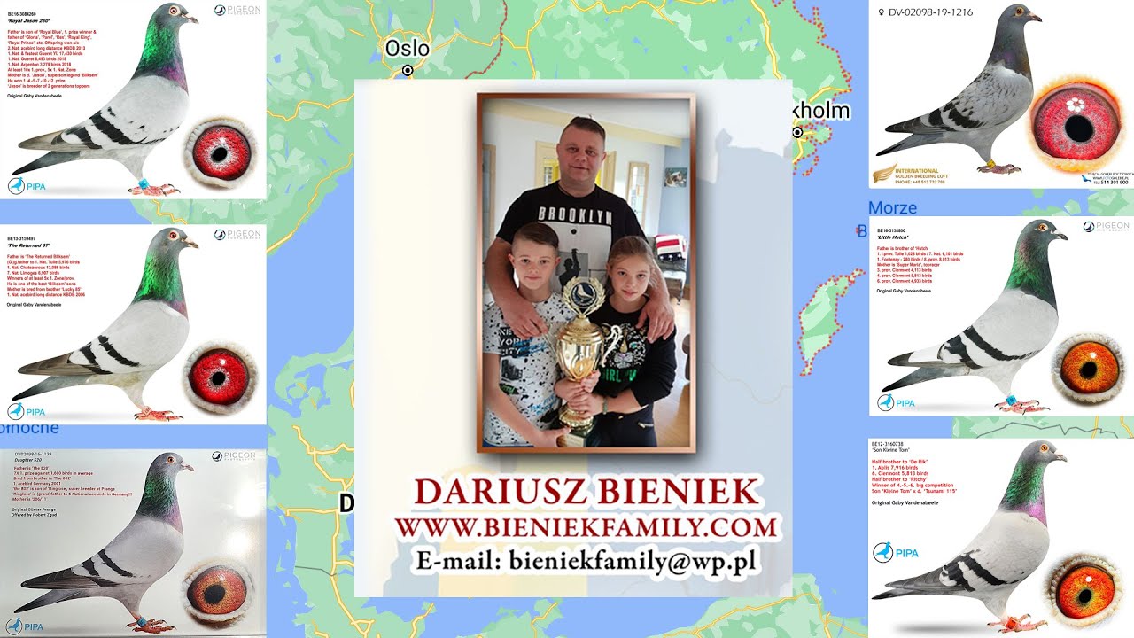 Dariusz Bieniek - SZWECJA  - NOWY FILM ! LEKTOR !