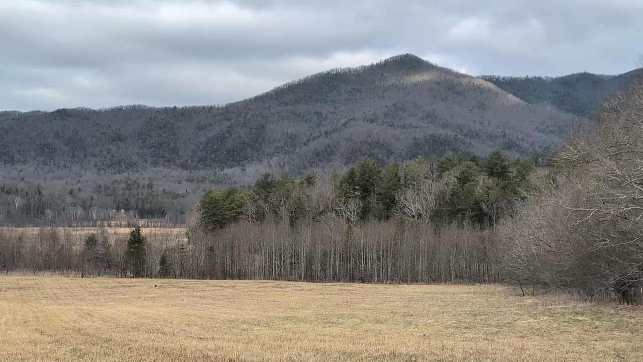 Turn off News, Social Media, & Politics and recharge your soul in Cades Cove Love erases Hate. 🕊️🗻