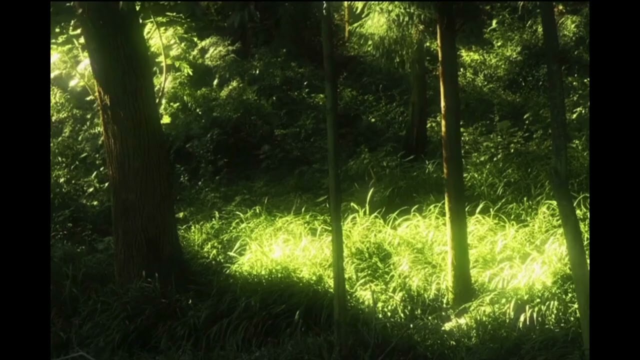 (Free)Wisp x Novulent x Shoegaze Type Beat 