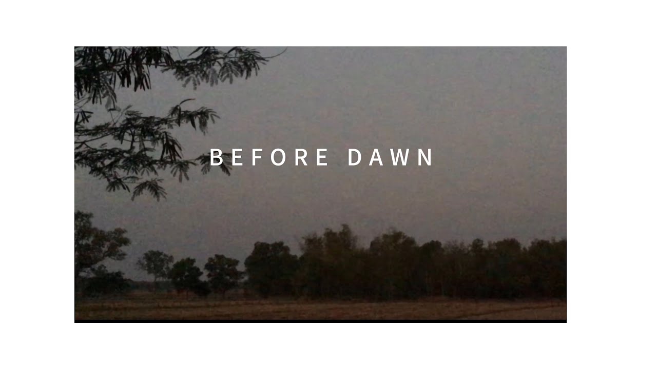 Countryside sounds before first light | Roosters crowing, birds singing.