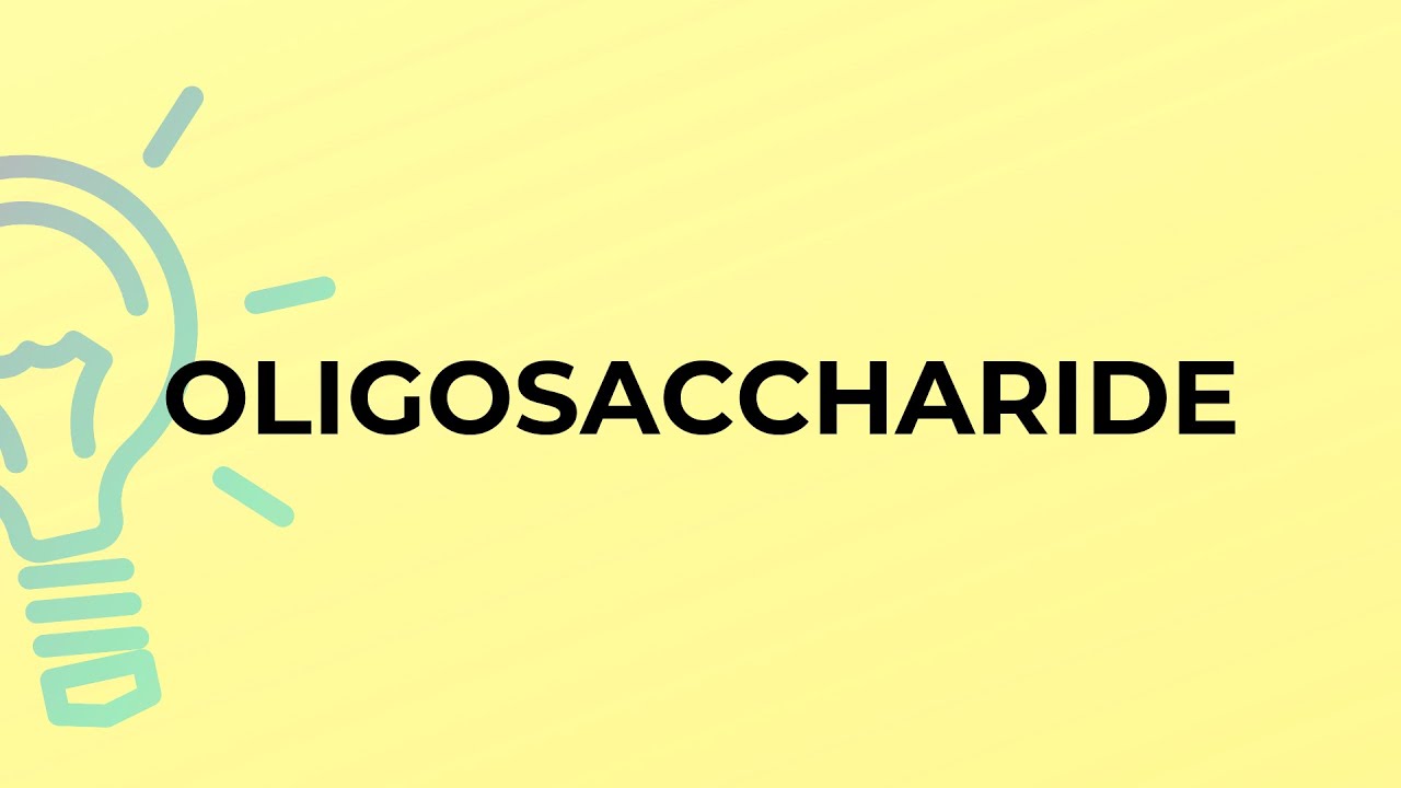 What is the meaning of the word OLIGOSACCHARIDE?