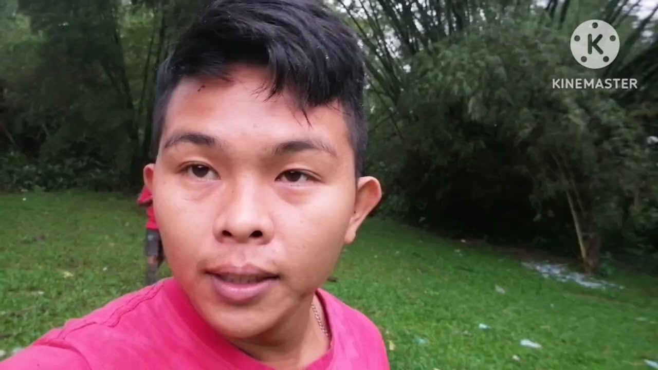 KAHIT MASAMA PA ANG PANAHON PERO KUKUNIM NATIN ANG AMING MANOK NA NANGITLOG SA TAAS NG PUNO