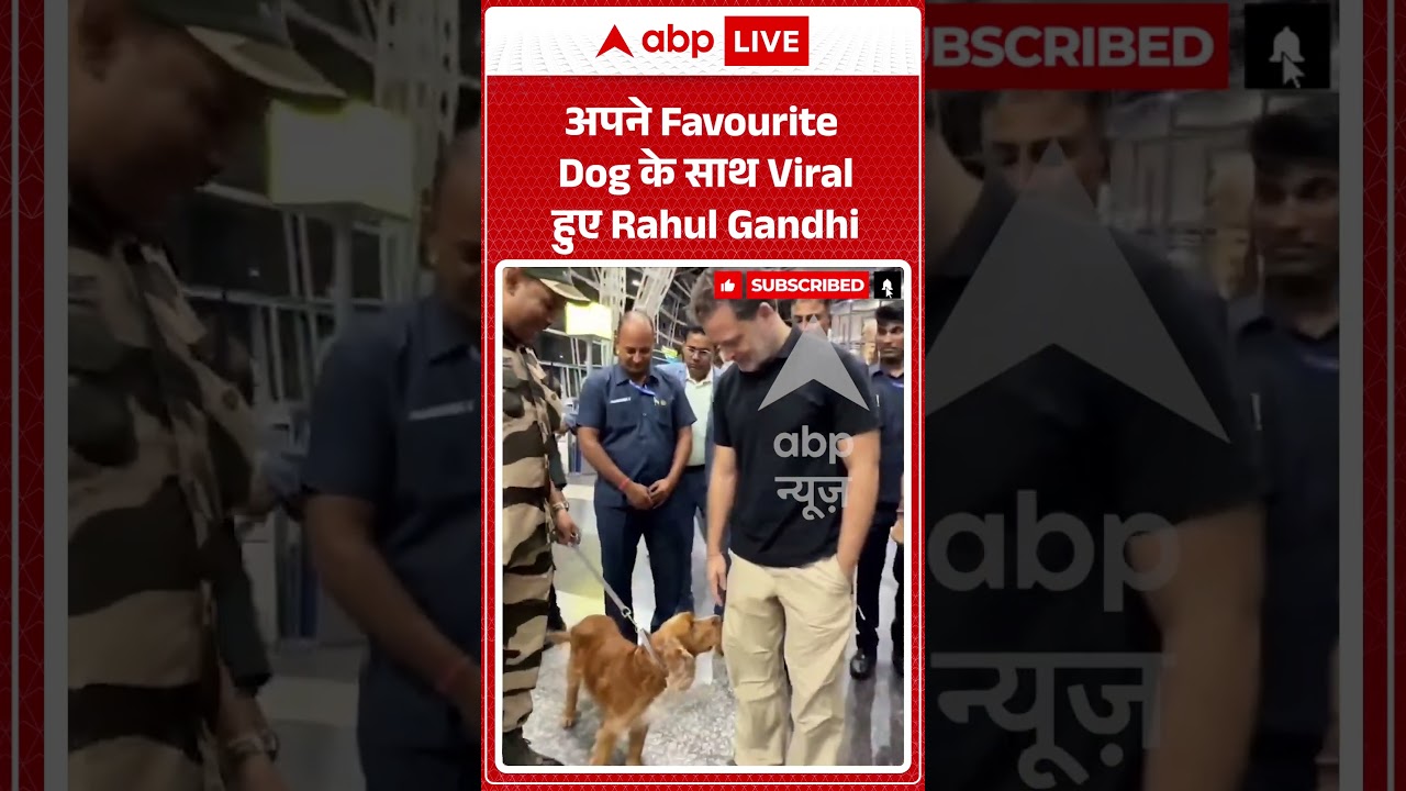 Rahul Gandhi Viral Video : अपने Favourite Dog के साथ Viral हुए Rahul Gandhi #petdog #congress