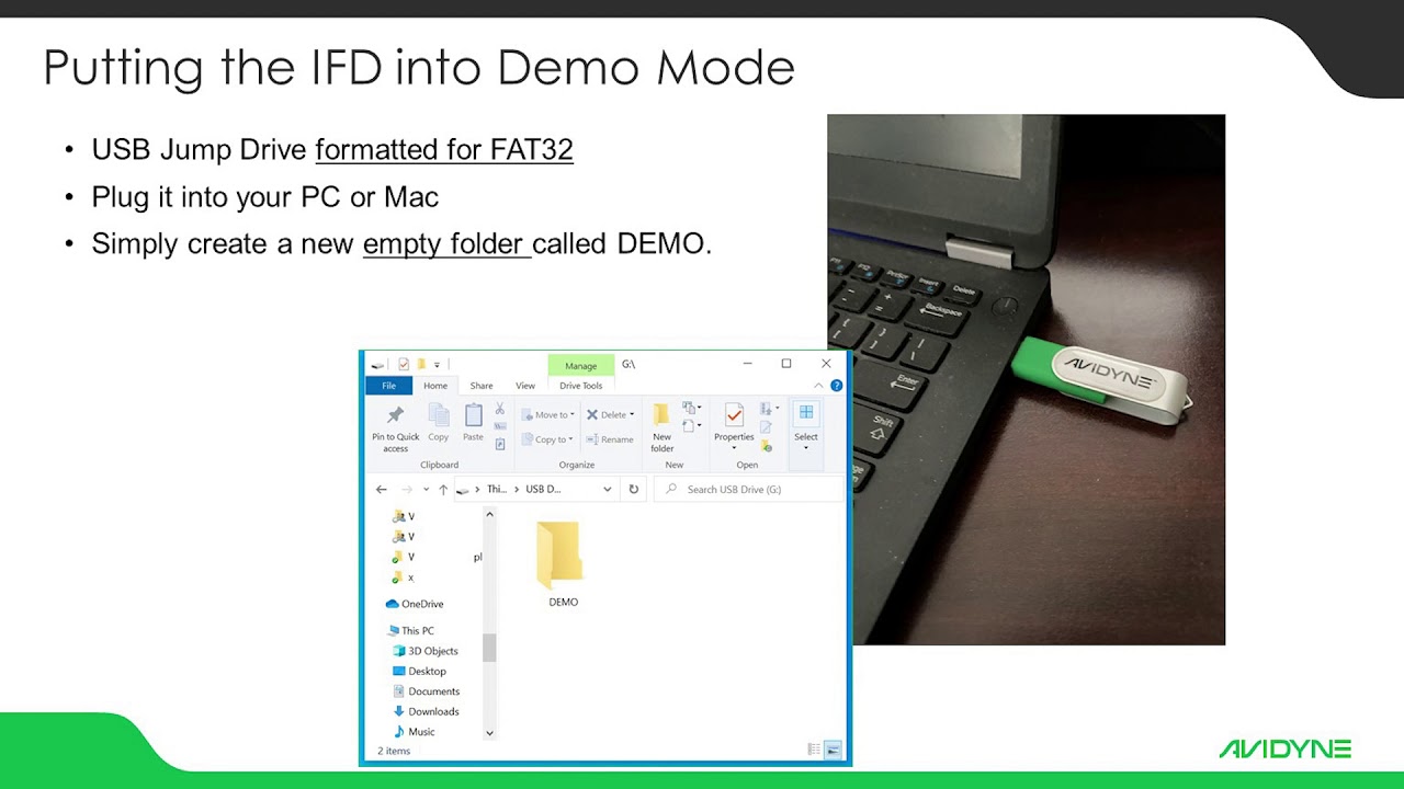 Avidyne IFD- Demo Mode