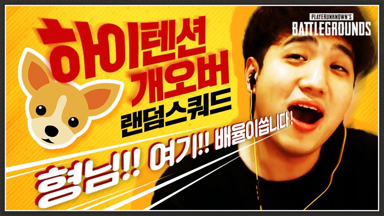 팀원들을 당황시키는 하이텐션 컨셉 랜덤스쿼드 ㅋㅋㅋㅋ [배틀그라운드]