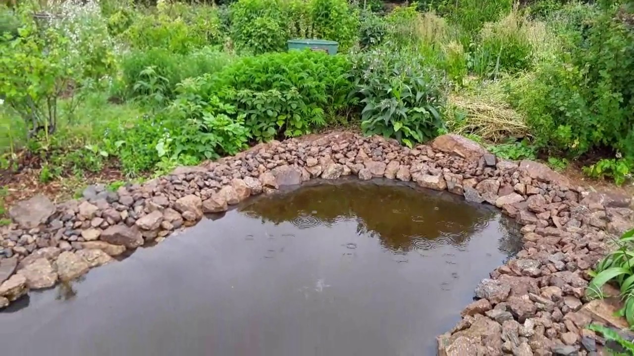2 minutes dans le jardin 