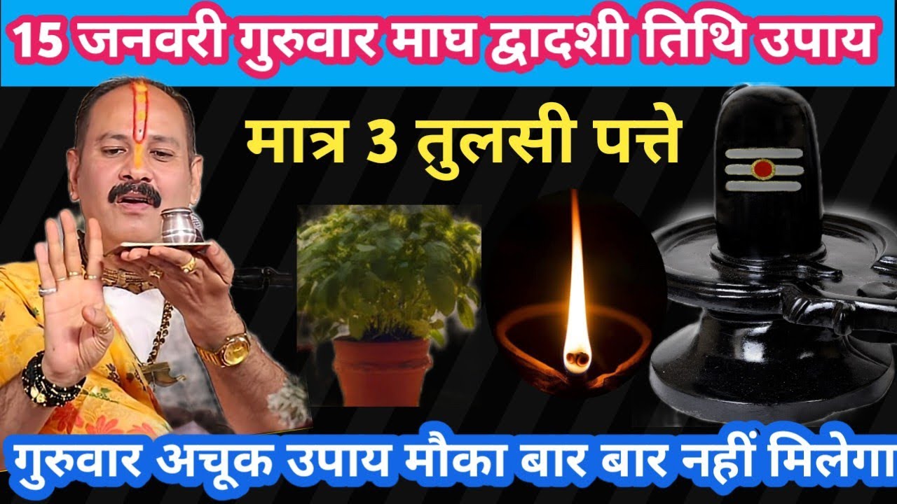 15 जनवरी गुरुवार माघ द्वादशी तिथि विशेष उपाय मात्र 3 तुलसी के पत्ते #guruwar#upay#pradeepmishra#live