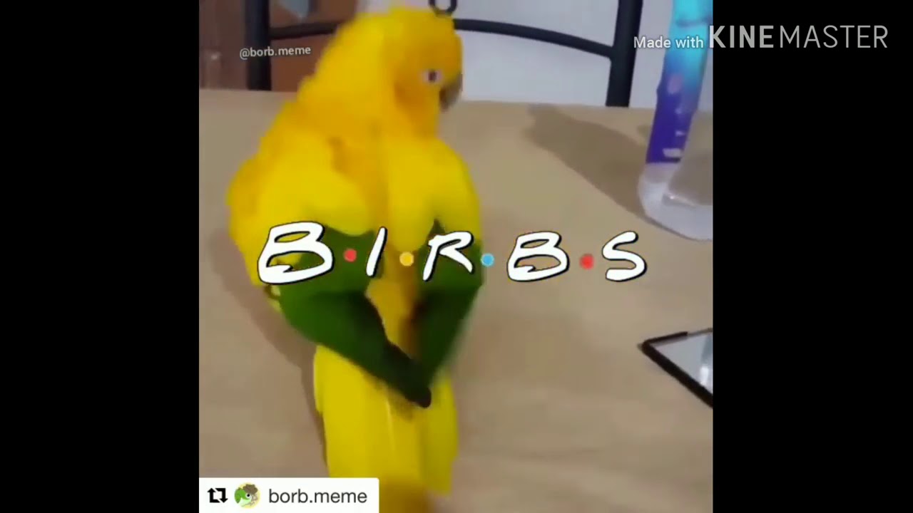 Friends theme song meme compilation