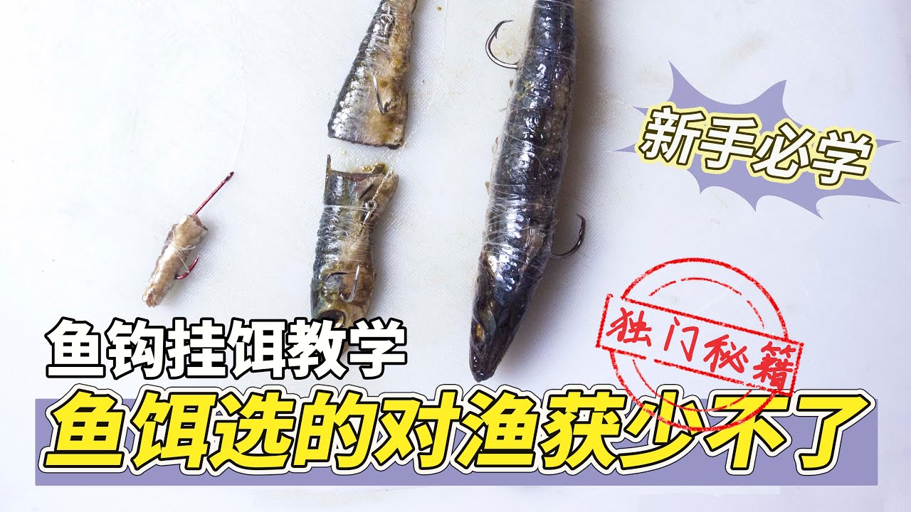 钓鱼新手教学，选鱼饵不纠结，海钓万能饵通杀全鱼种，以及鱼饵怎么挂#钩法教学#海钓用什么鱼饵#海钓入门#鱼饵推荐#鱼饵钩法