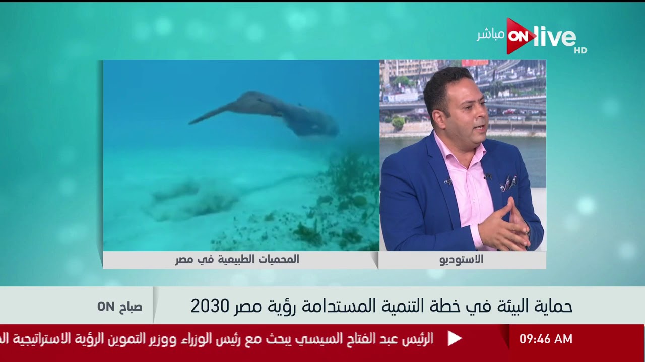 صباح ON - حماية البيئة في خطة التنمية المستدامة رؤية مصر 2030 .. د. . مجدي علام
