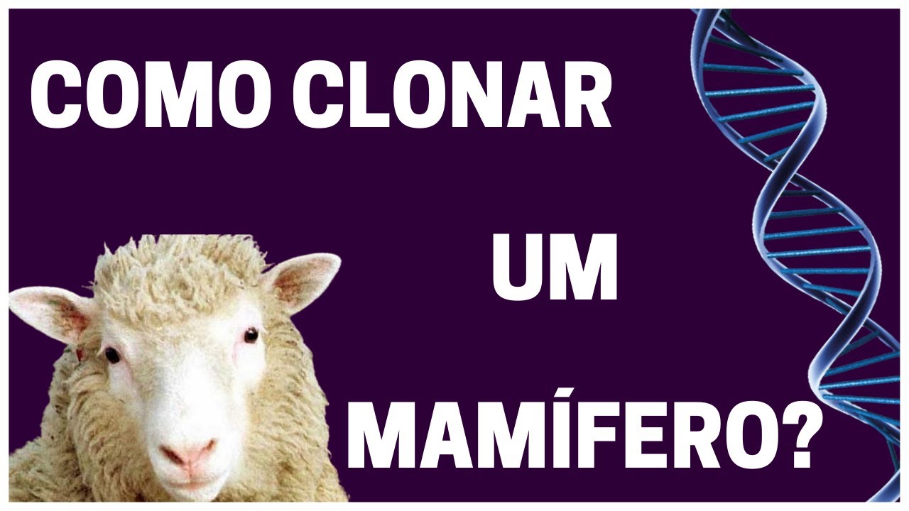 Clonagem de mam&iacute;feros - Fisiologia Humana