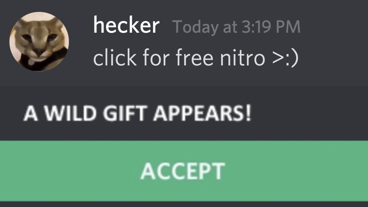 If Beluga won Discord 