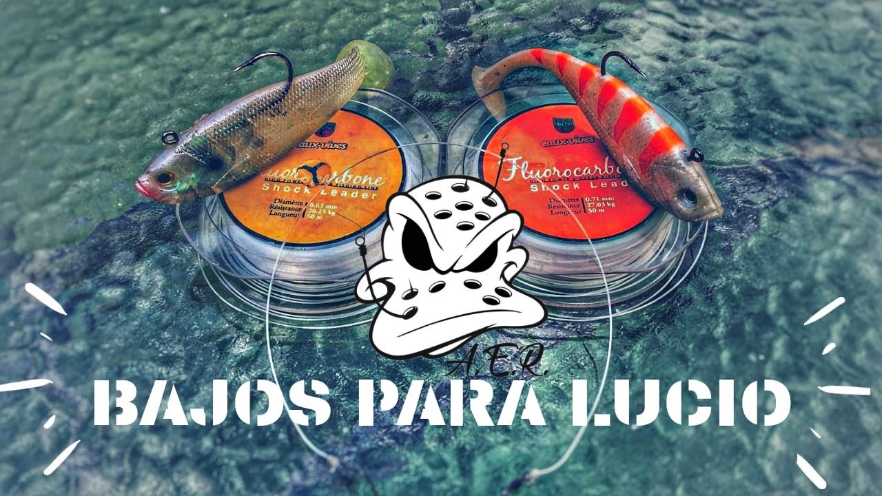 Bajos para lucio