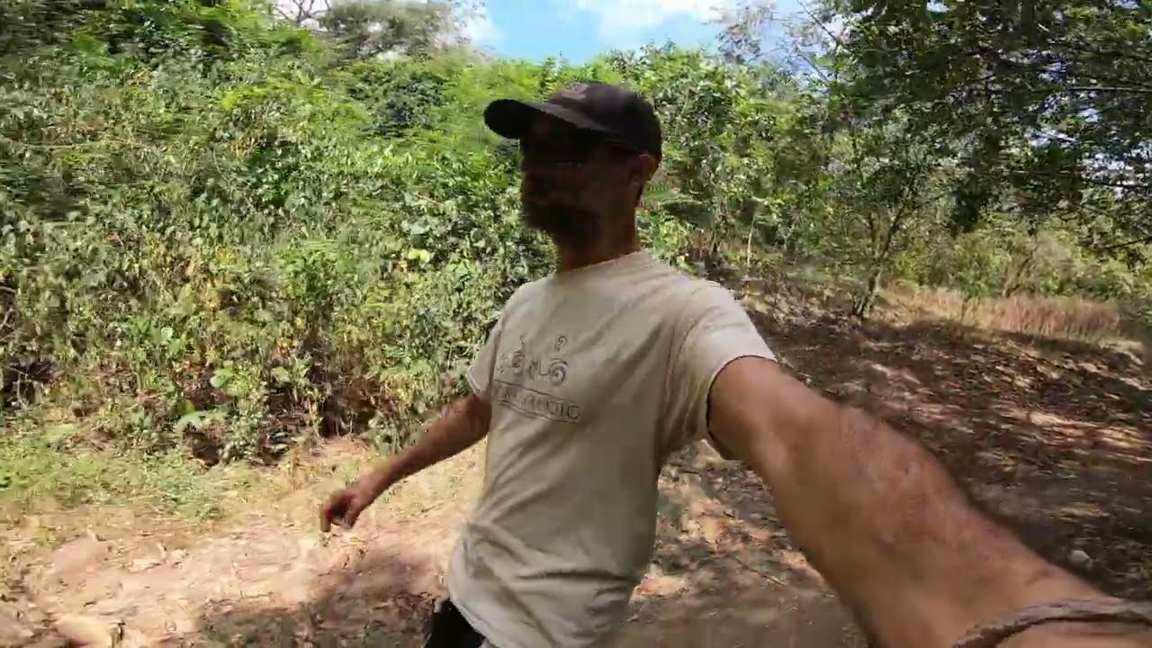 Río Cedro, belleza natural y biodiversidad
