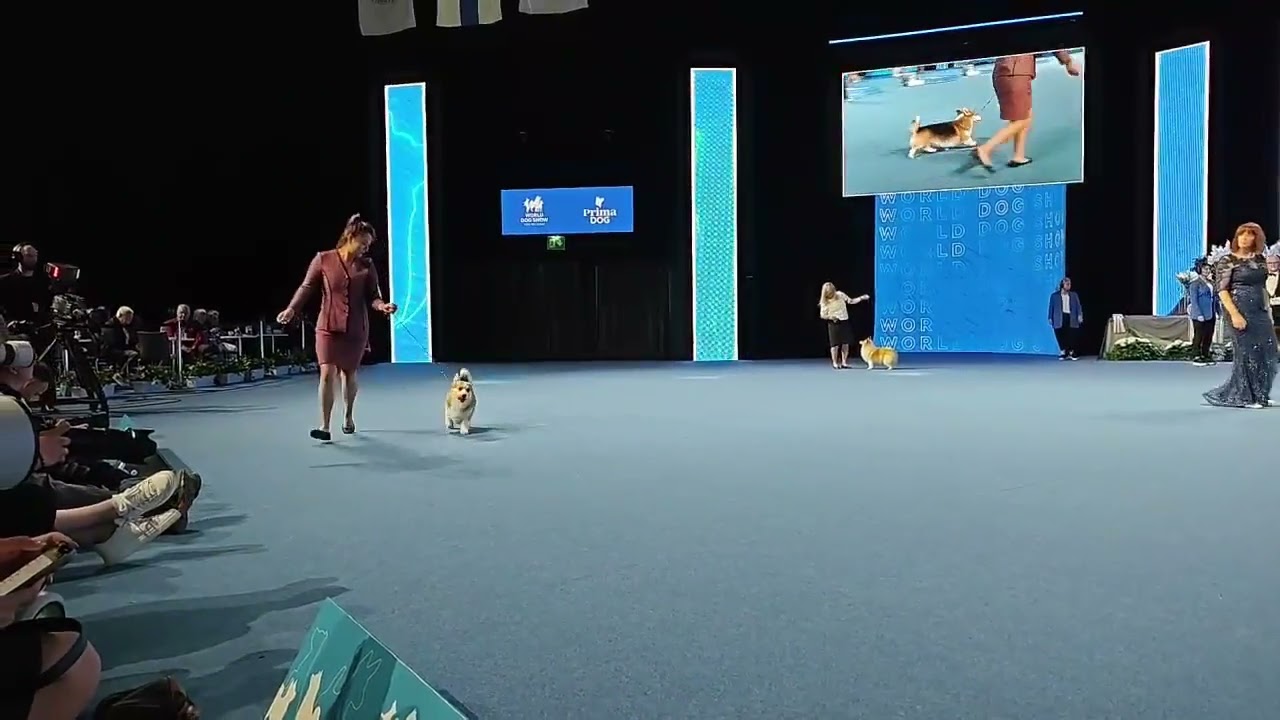 World Dog Show Helsinki Finland 2025 - Day 3 - BEST IN SHOW