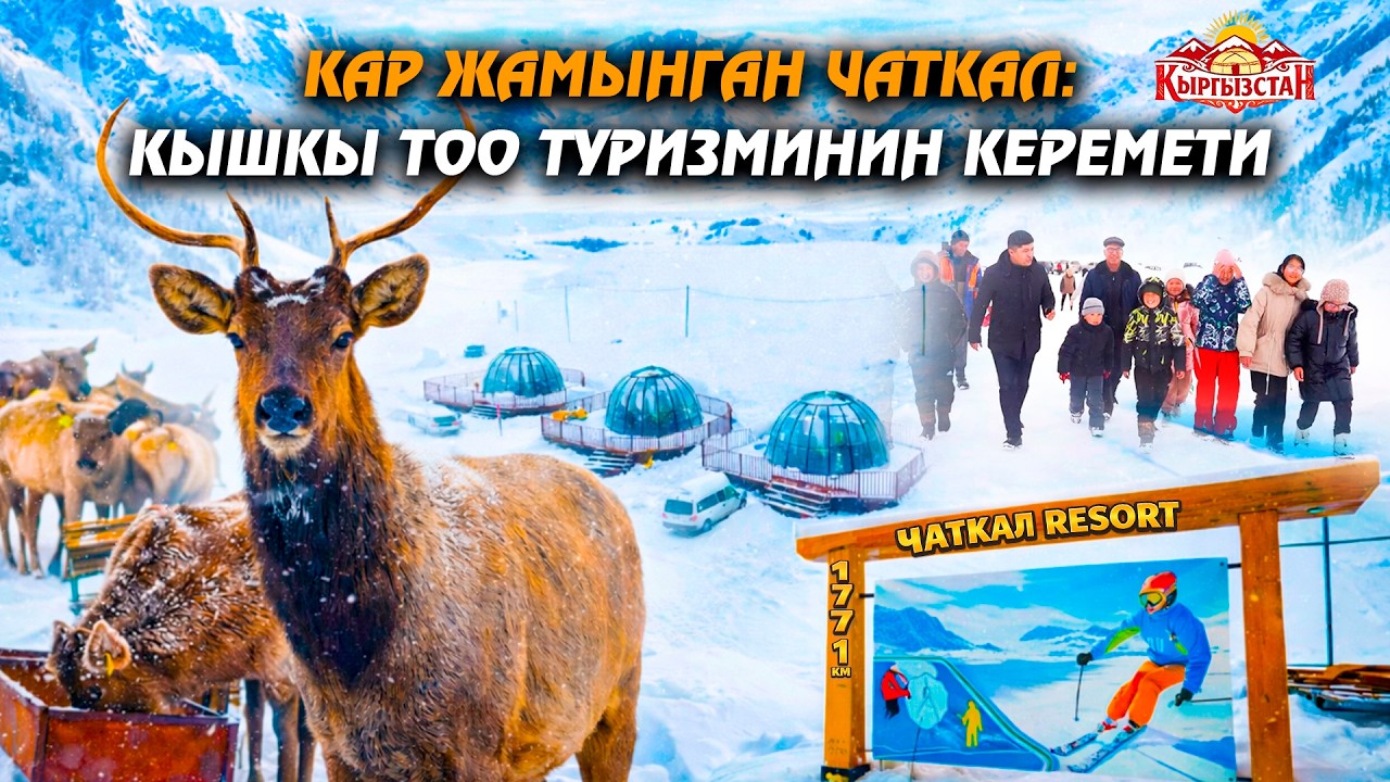 Кар жамынган Чаткал: кышкы тоо туризминин керемети // Керемет өлкөм