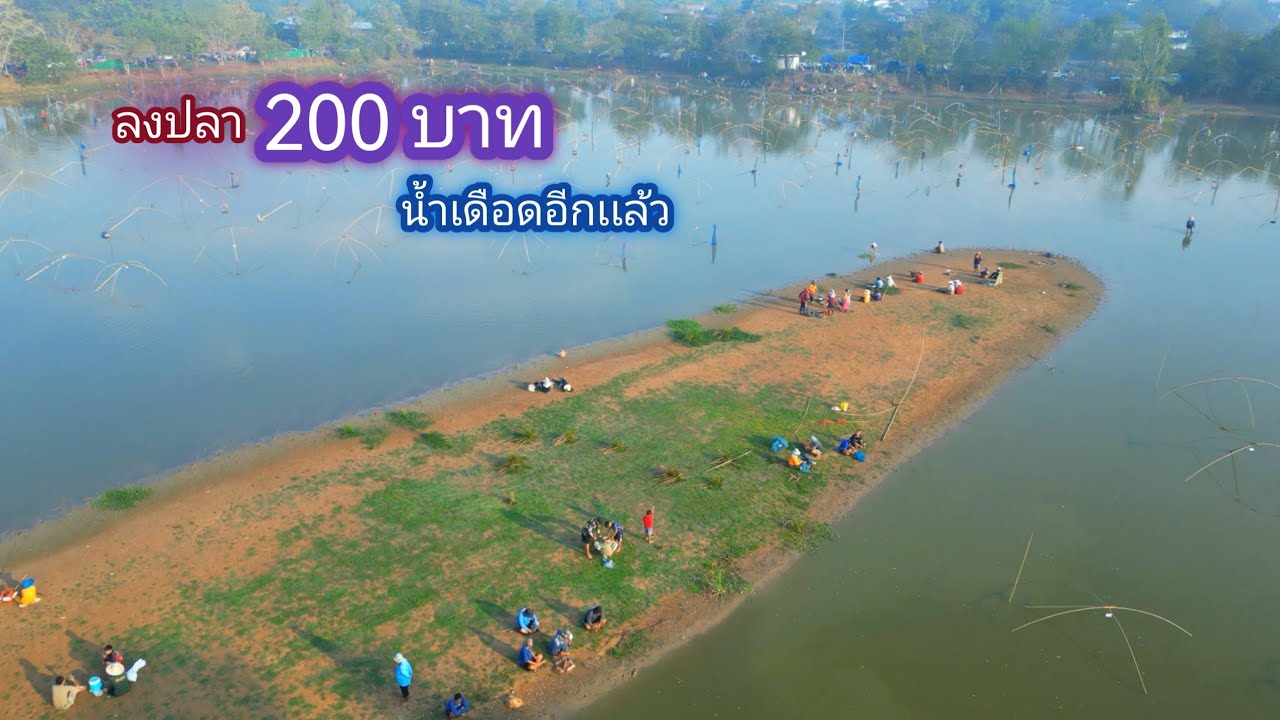 หนองเด็ด 200 บาท น้ำเเค่เข่า ปลาเยอะจนน้ำเดือด / บ้านนอก EP.710