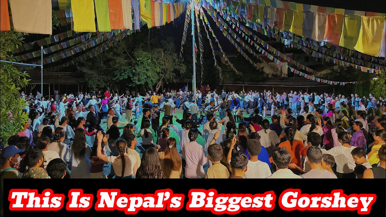 Till Now I Was Wrong / This Is Nepal’s Biggest GORSHEY / Bhalyul Kordoling / Saturday Gorshey