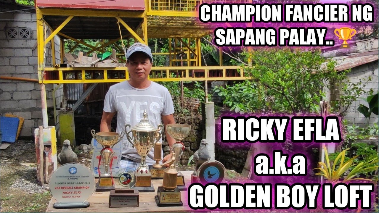 CHAMPION FANCIER NG SAPANG PALAY..🏆 | RICKY ELFA aka GOLDEN BOY LOFT