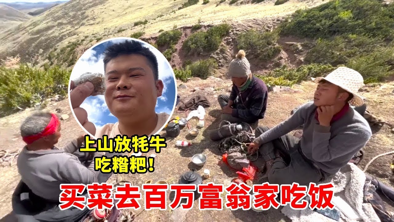 昂旺带我体验牧民生活，上山放牦牛吃糌粑，买菜去百万富翁家吃饭 #海派高手