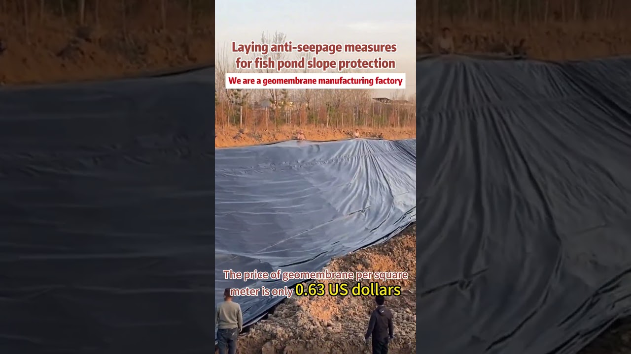 Pond/Dam Liner HDPE Geomembranes #geomembrane #pondliner #damliner