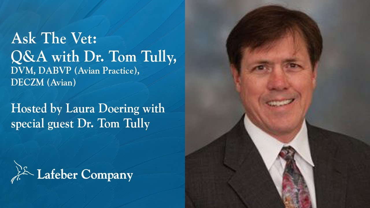 Ask The Vet, Episode 16: Q&A with Tom Tully, DVM, DABVP (Avian Practice), DECZM (Avian)