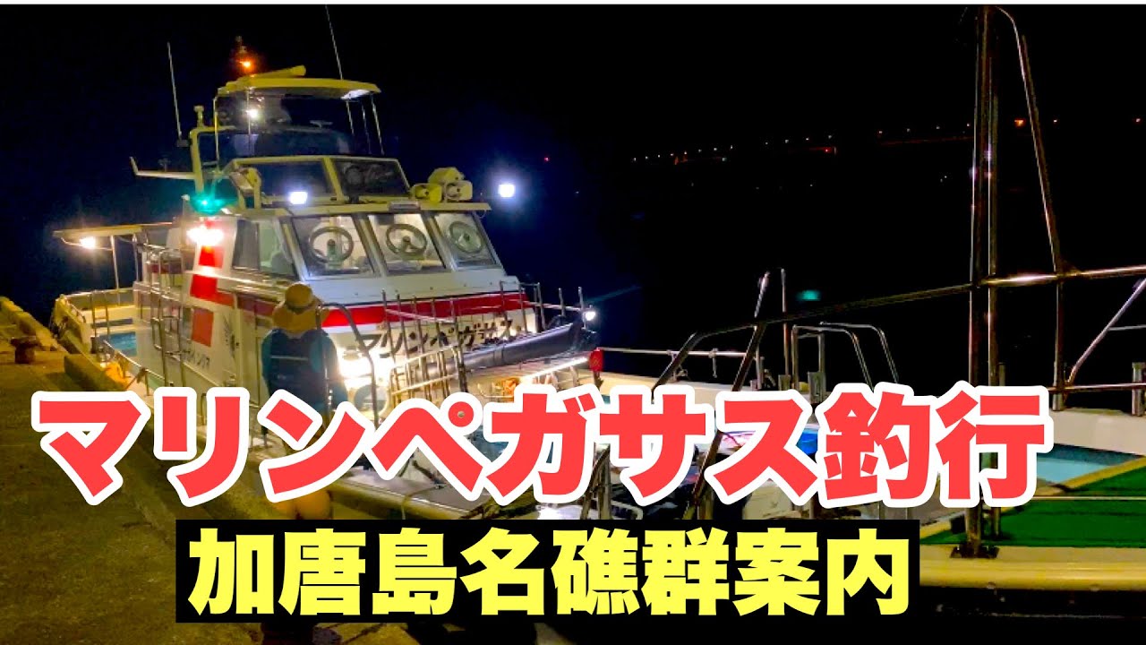 【初心者必見】マリンペガサスで底物釣り★加唐島名礁群案内★