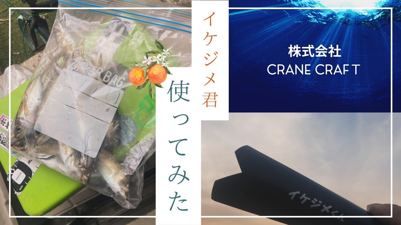 イケジメくんは、アジ30センチでも対応することを証明する検証動画となります。お求めは、全国の小売店様にて販売中。僕のInstagram経由からでもご購入可能です。profileからご連絡可能