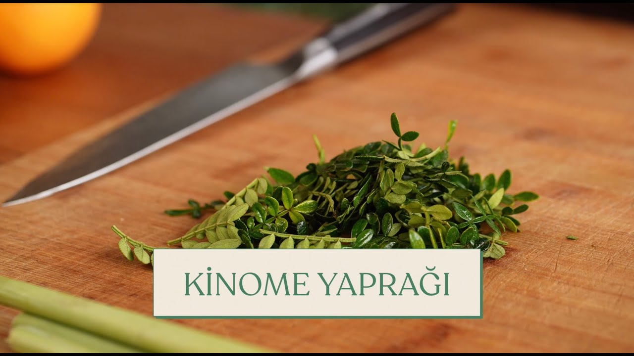 Şef Mehmet Ali B&ouml;rt&uuml;cene ile Kinome Yaprağı Tadımı...