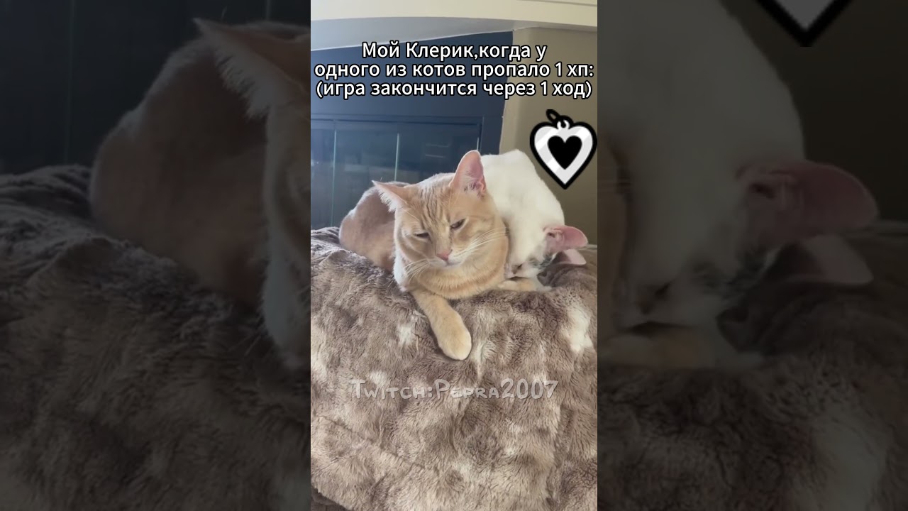Клерик,Когда у Кота Пропало 1 ХП: