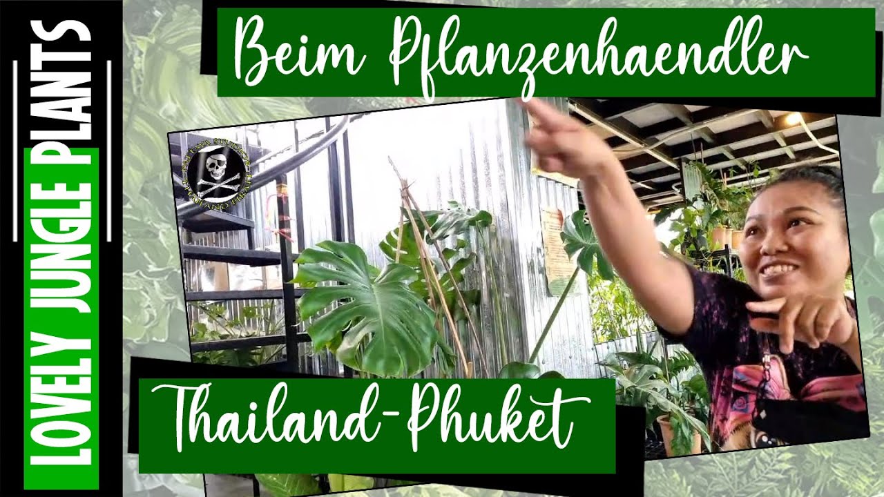 Pflanzenhändler in Phuket-Thailand. Ich suche besondere Pflanzen