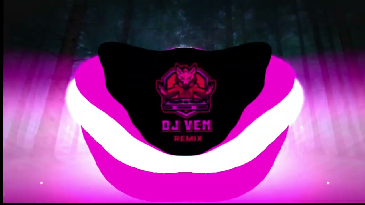 HAYPA (dj ven tekno remix)
