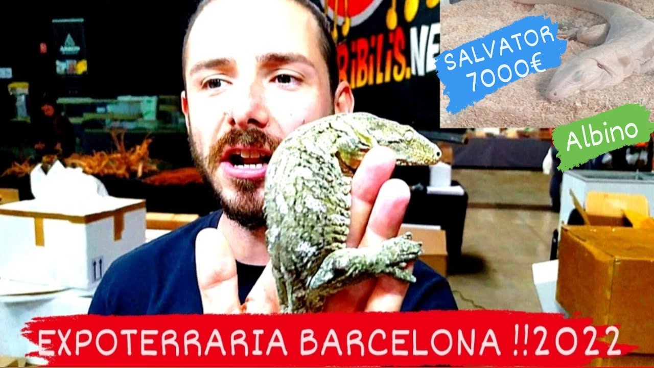 EXPOTERRARIA BARCELONA!5 NOVIEMBRE 2022 @Sergio exotics