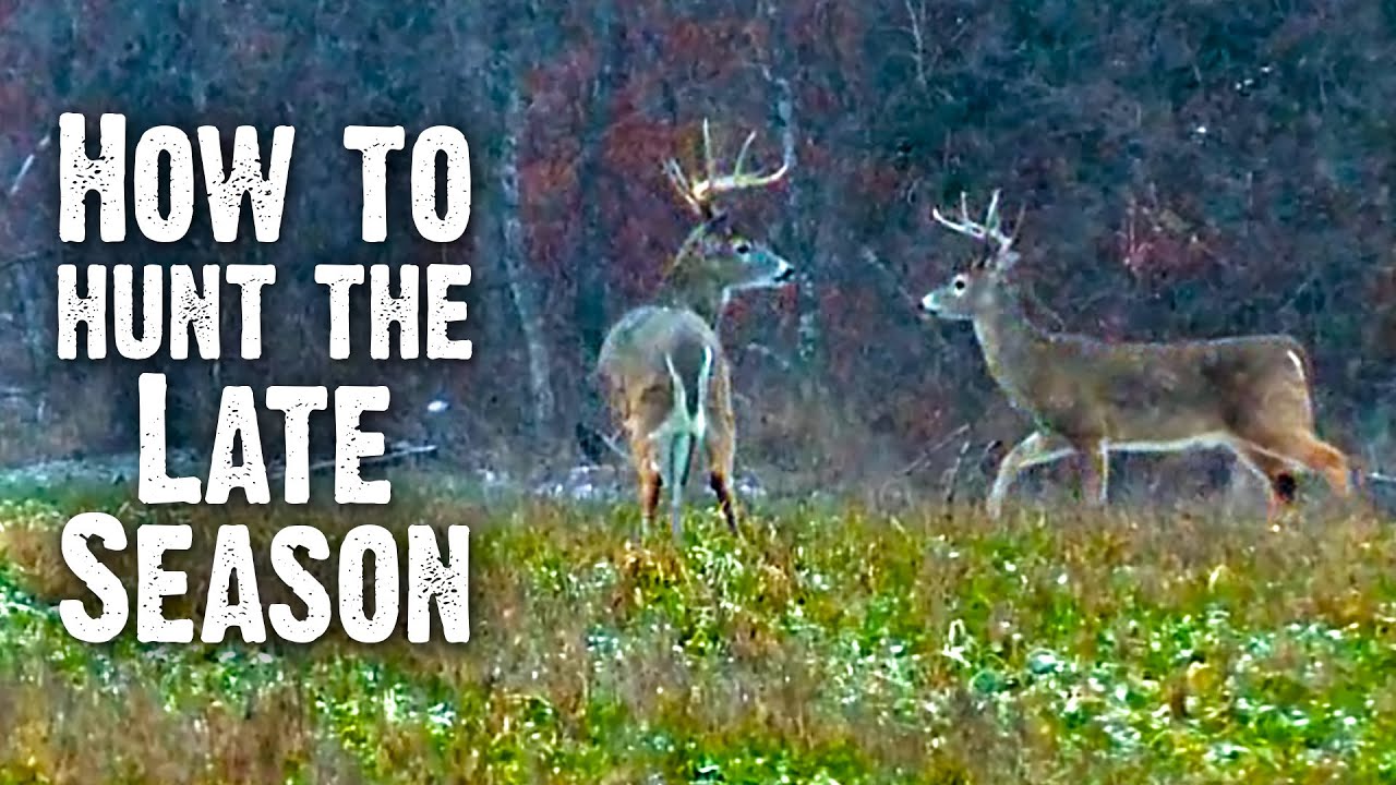 How to Hunt Late Season (848)