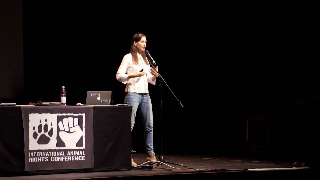 Understanding carnism for effective vegan advocacy - Melanie Joy [IARC 2016]