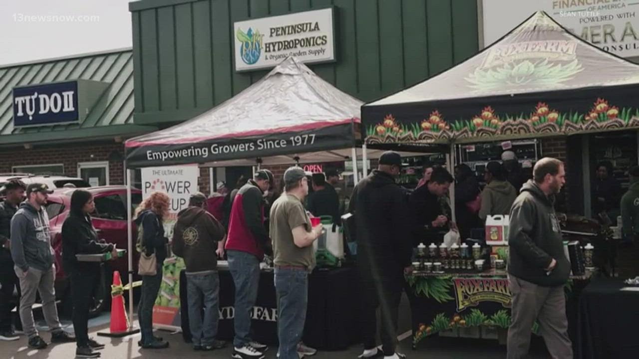Peninsula Hydroponics gives away free marijuana seeds