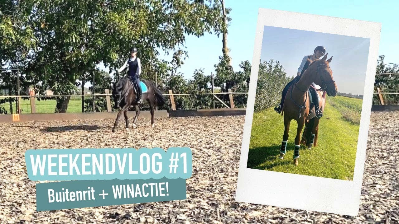 WINACTIE, buitenrit, rijden gaat niet goed | WEEKENDVLOG 1| Zaffay vlogs
