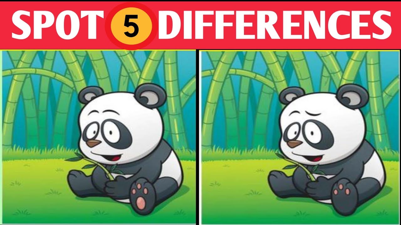 Spot 5 Differences | Spot 5 Difference Between two Images | Riddle Hunt