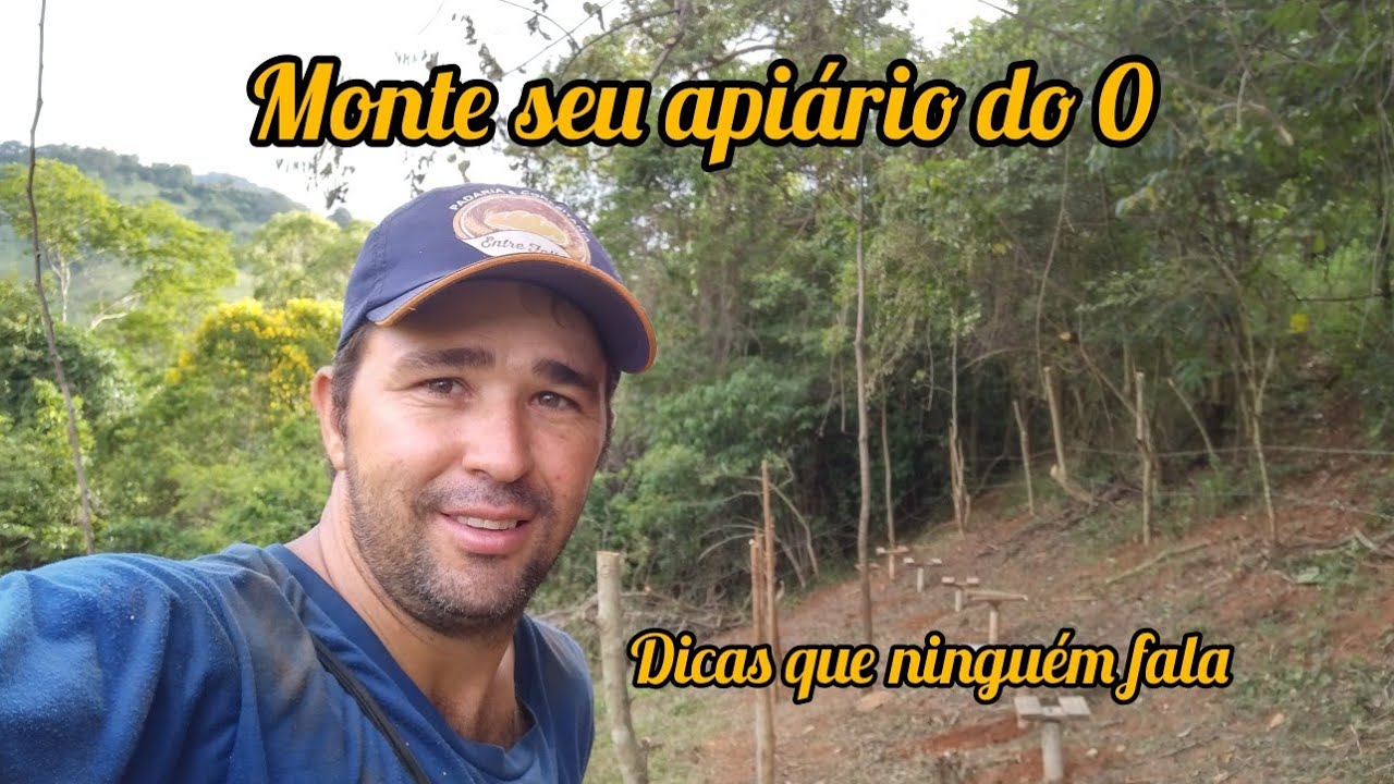O QUE VOC&Ecirc; PRECISA SABER PARA MONTAR O SEU API&Aacute;RIO, PRINCIPALMENTE INICIANTES
