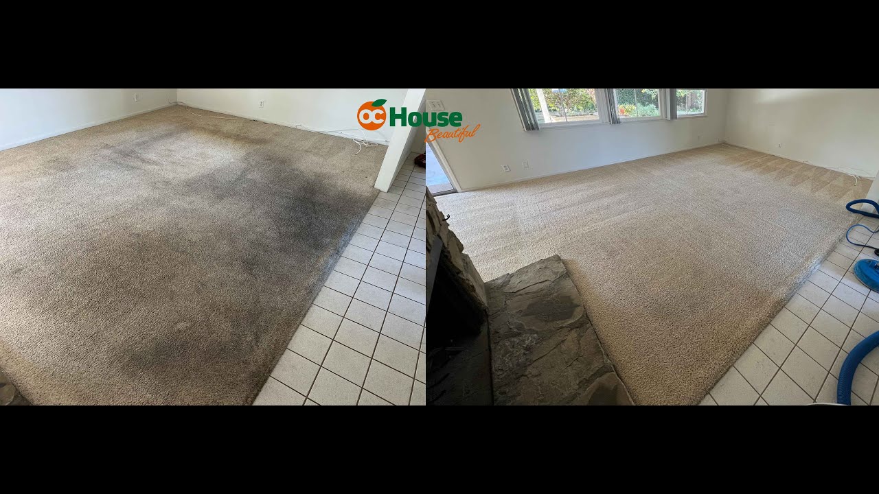 Carpet Cleaning of Rat Nasty Carpets! Really really bad smell too!