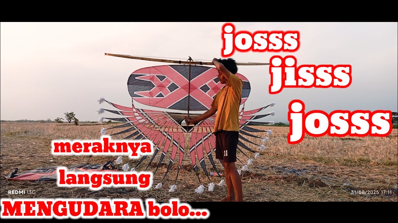 Menerbangkan layangan perdana MERAK AN || khas magetan madiun @Attharrazkachanel 