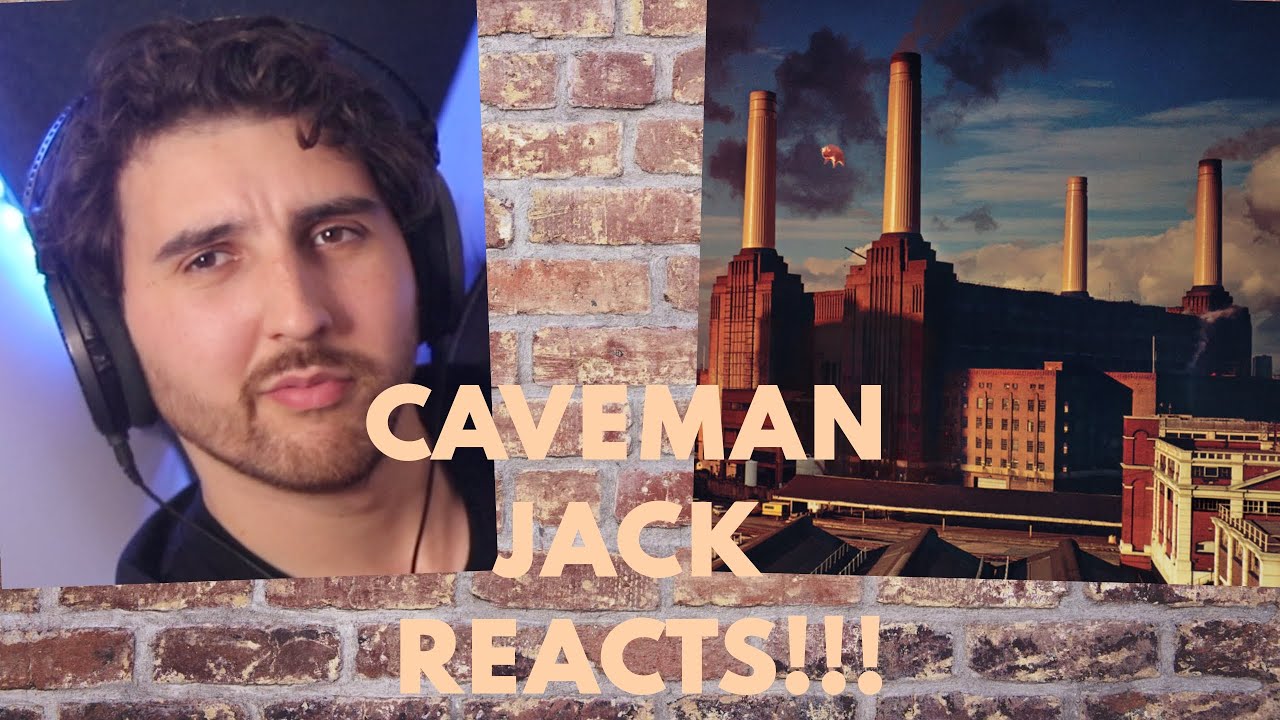 PINK FLOYD NEVER MISS! ANIMALS | Full Album Reaction/Review