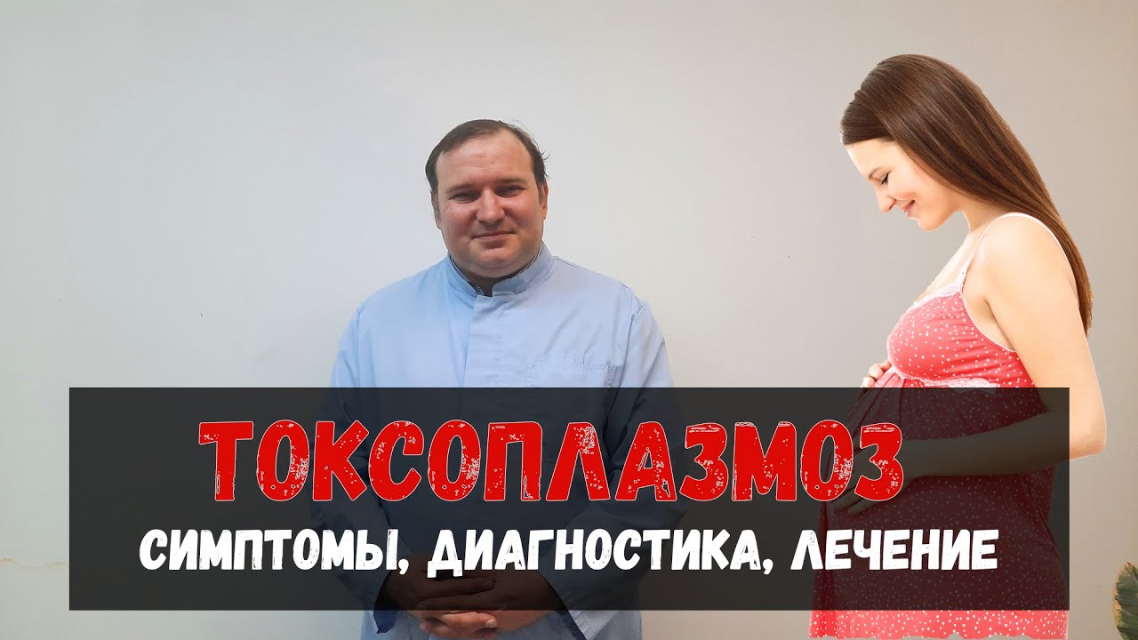Токсоплазмоз при беременности и не только 👪 Доктор Одарюк